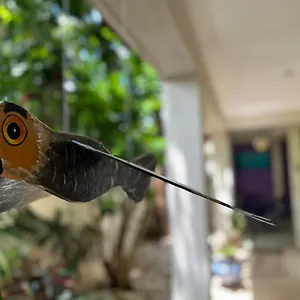 Balché Bacalar